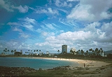 Waikiki Beach